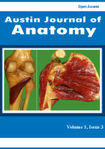 anatomy thumbnail