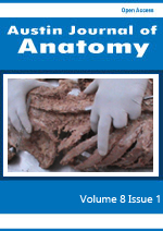 anatomy thumbnail