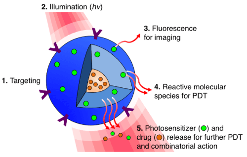 The Nano World In Photodynamic Therapy - 