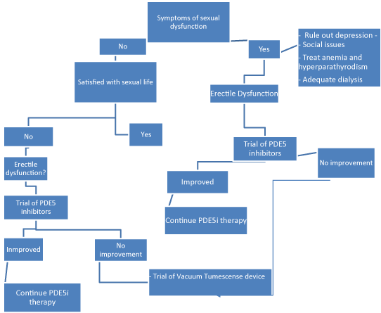 Sexual Dysfunction in Dialysis Patients A Review