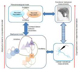 Computational Models in Neuroscience: How real are they? A