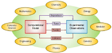 Computational Models in Neuroscience: How real are they? A