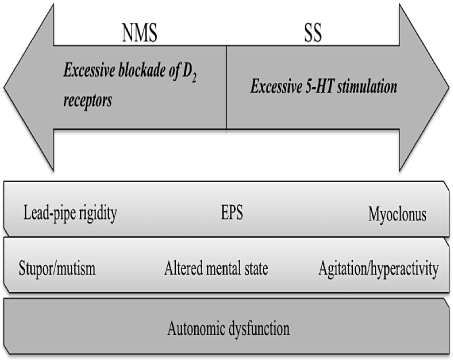 nms symptoms